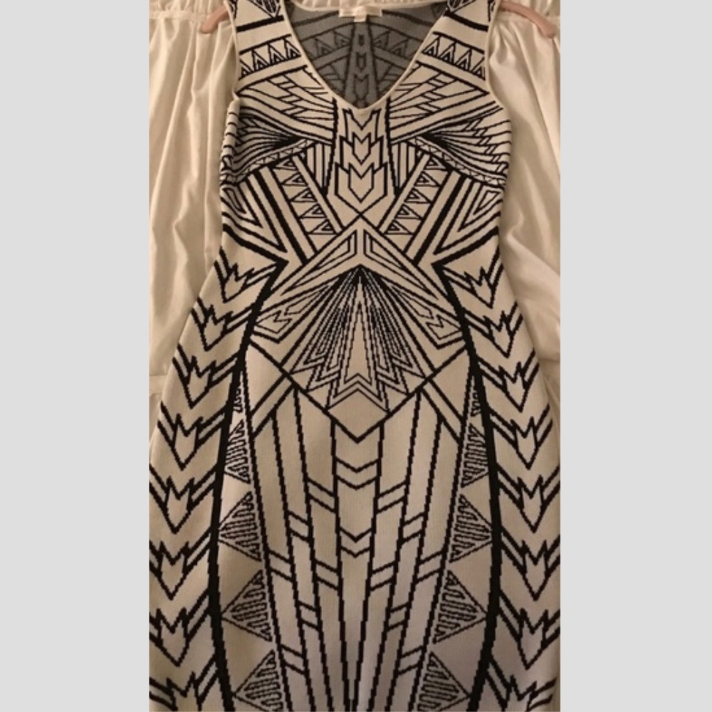 Jealous Tornato Dress